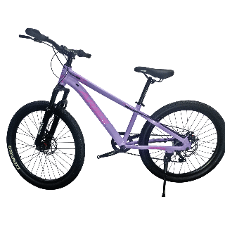 Bicicleta Aries Rin 24" - Color Morada Lila