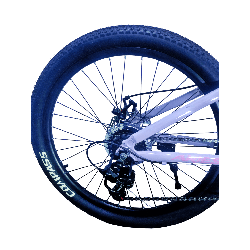 Bicicleta Aries Rin 24" - Color Morada Lila