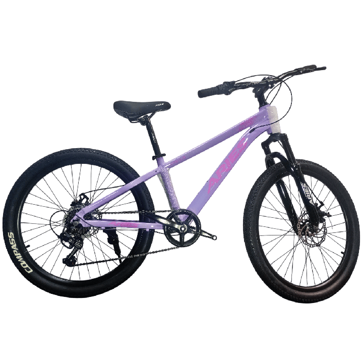 Bicicleta Aries Rin 24" - Color Morada Lila