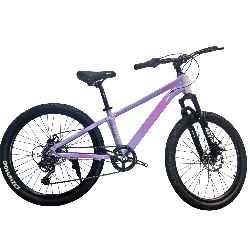 Bicicleta Aries Rin 24" - Color Morada Lila