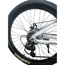 Bicicleta Aries Rin 24" - Color Blanca