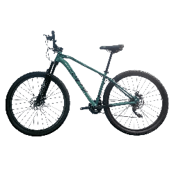 Bicicleta GW Falcon Verde Plateado