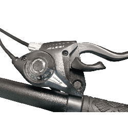 Bicicleta GW Falcon Dorada Metalizada