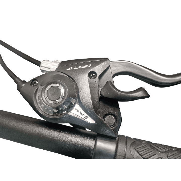 Bicicleta GW Falcon Dorada Metalizada