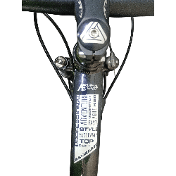 Bicicleta GW Jaguar Negra