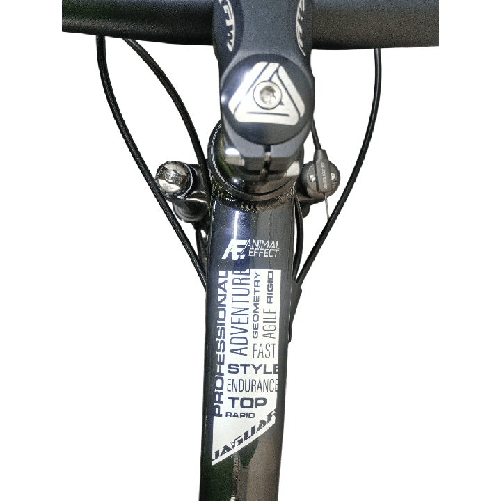 Bicicleta GW Jaguar Negra