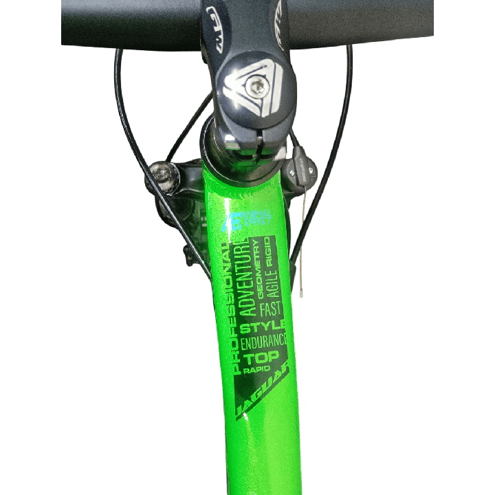 Bicicleta GW Jaguar Verde Metalizado