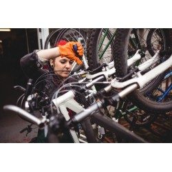 Mantenimiento General de Bicicleta