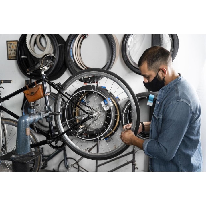 Alistamiento Profesional