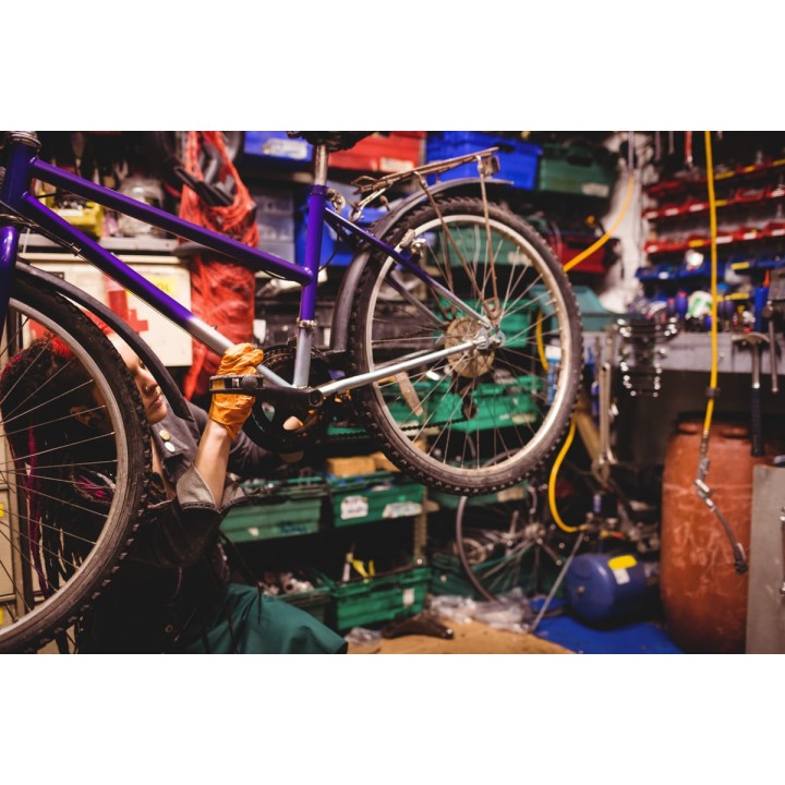 Alistamiento Profesional