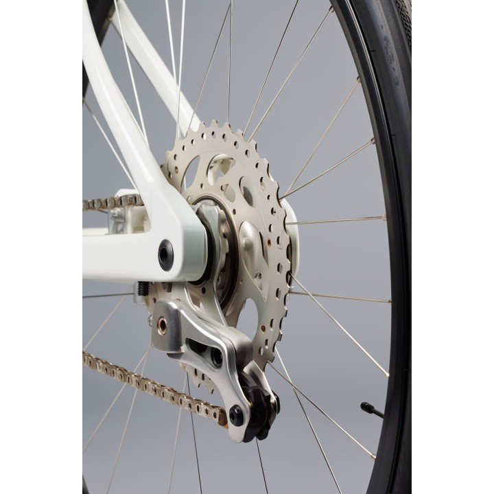 Purga de Frenos Hidráulicos