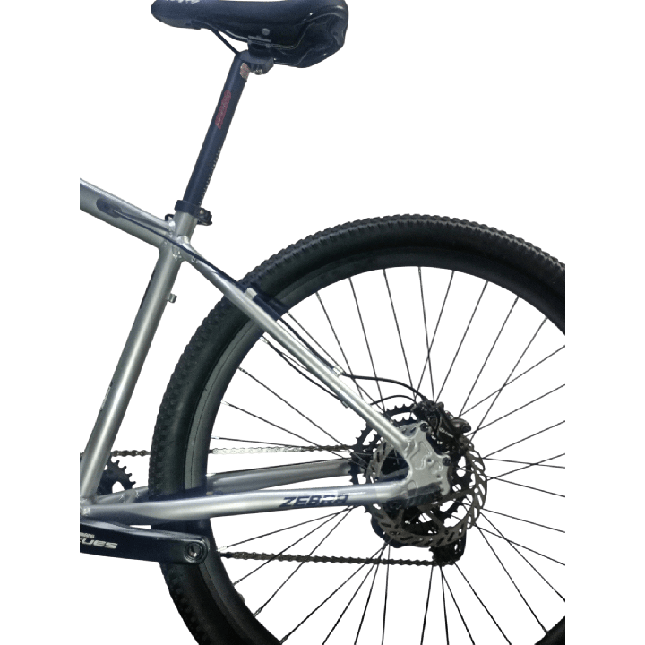 Bicicleta GW Zebra - Magneta Roja