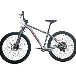 Bicicleta GW Zebra - Magneta Roja