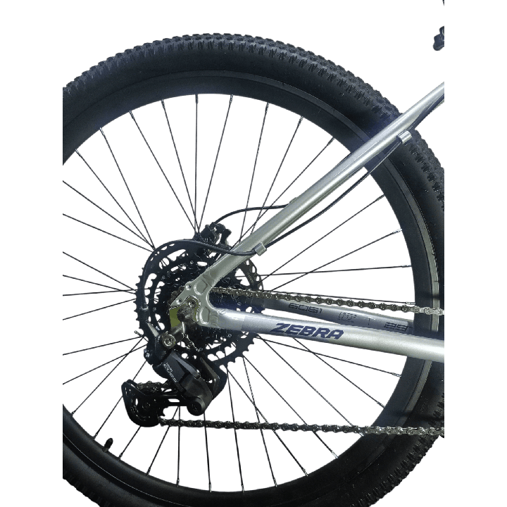 Bicicleta GW Zebra - Magneta Roja