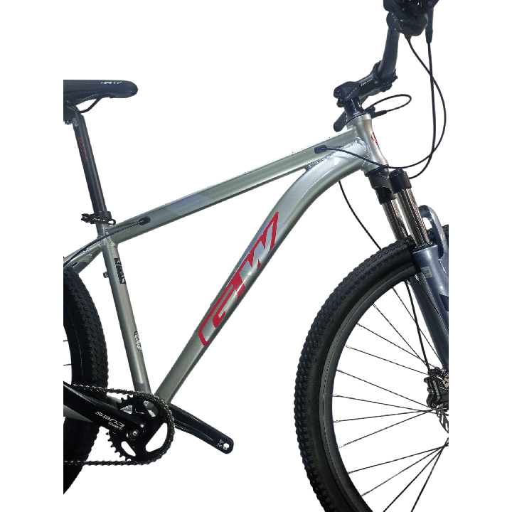 Bicicleta GW Zebra - Magneta Roja