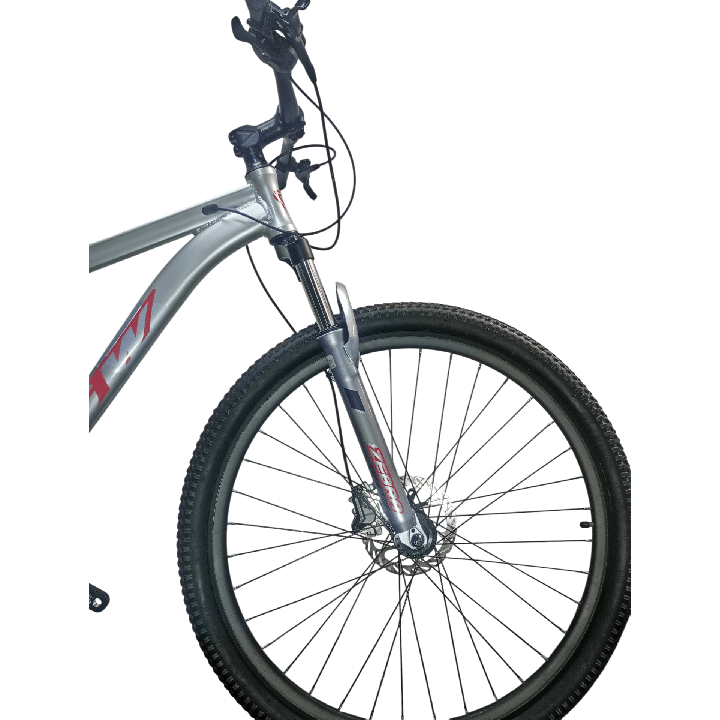 Bicicleta GW Zebra - Magneta Roja