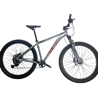 Bicicleta GW Zebra - Magneta Roja