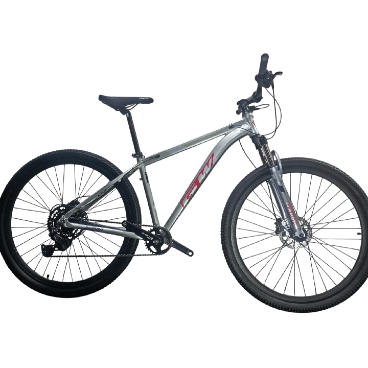Bicicleta GW Zebra - Magneta Roja