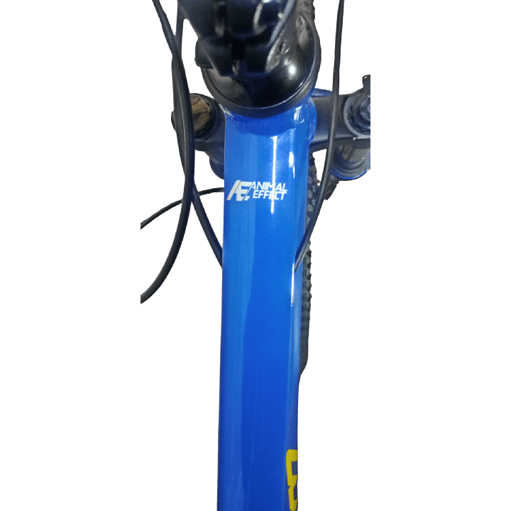 Bicicleta GW Zebra - Azul Amarilla