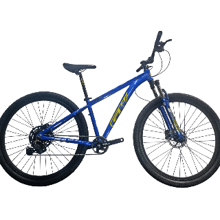 Bicicleta GW Zebra - Azul Amarilla