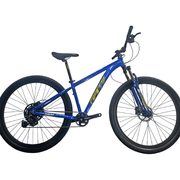 Bicicleta GW Zebra - Azul Amarilla