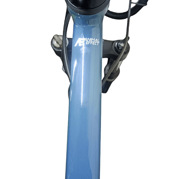 Bicicleta GW Zebra - Azul Verde