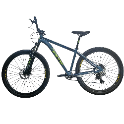 Bicicleta GW Zebra - Azul Verde
