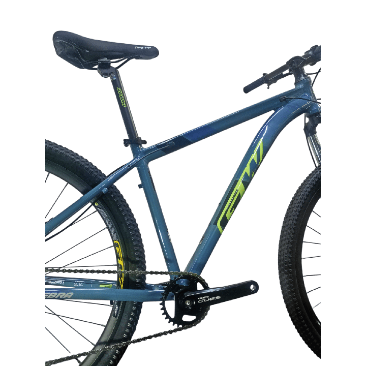 Bicicleta GW Zebra - Azul Verde