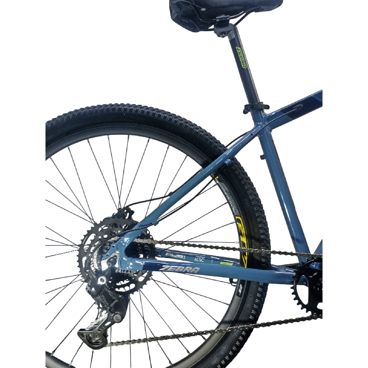 Bicicleta GW Zebra - Azul Verde