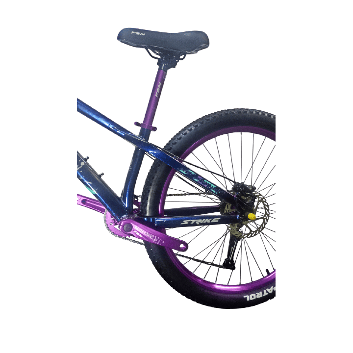Bicicleta Fusion Stunt Bike