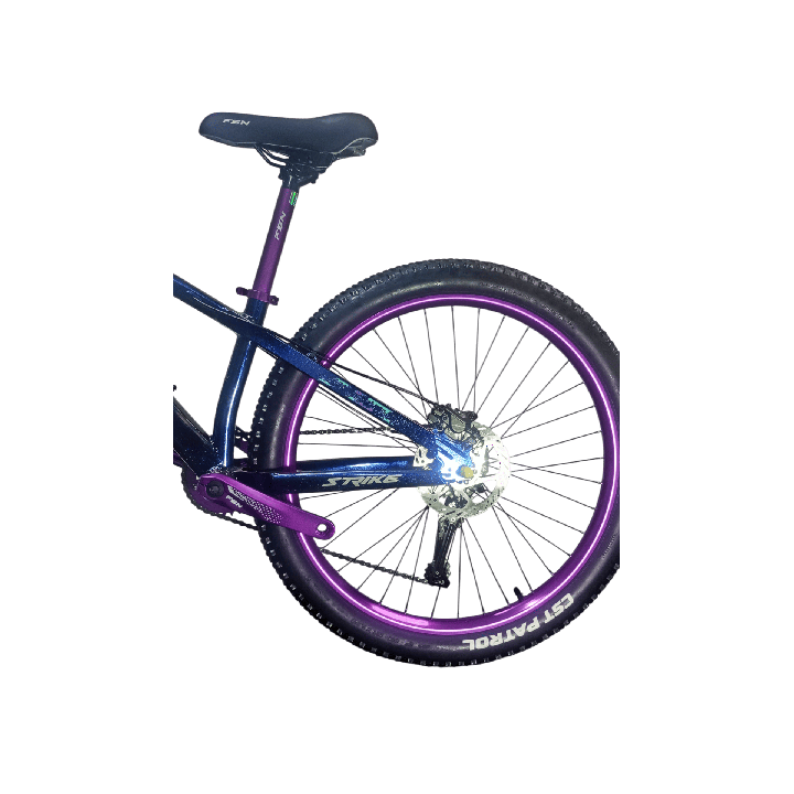 Bicicleta Fusion Stunt Bike