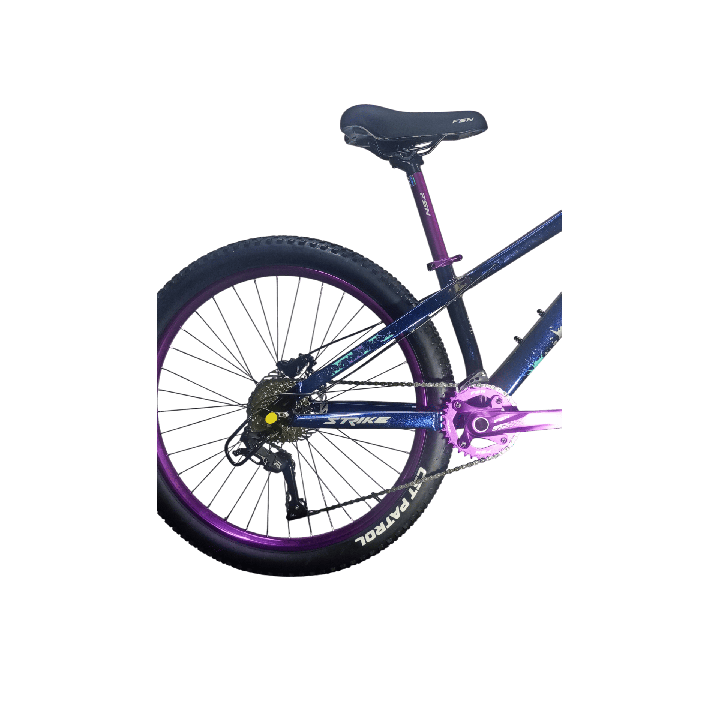 Bicicleta Fusion Stunt Bike