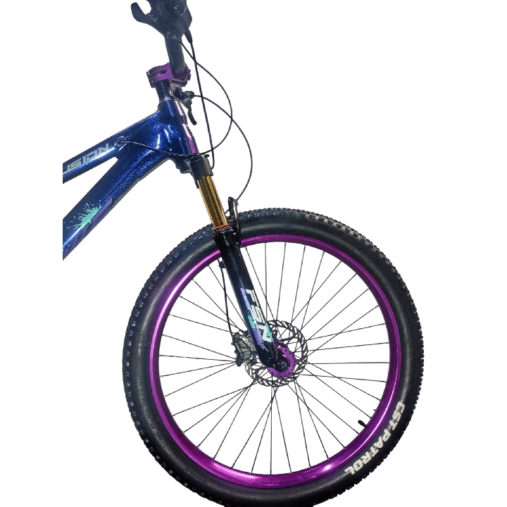 Bicicleta Fusion Stunt Bike