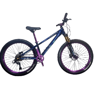 Bicicleta Fusion Stunt Bike