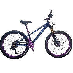 Bicicleta Fusion Stunt Bike