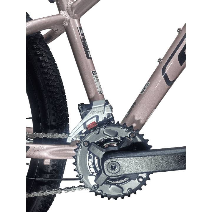 Bicicleta GW Jaguar Rose Champagne