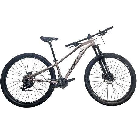 Bicicleta GW Jaguar Rose Champagne