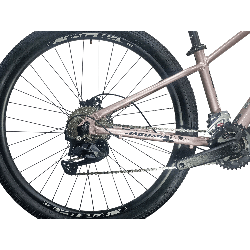 Bicicleta GW Jaguar Rose Champagne