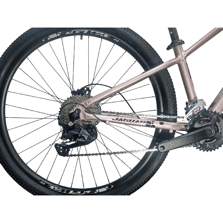 Bicicleta GW Jaguar Rose Champagne