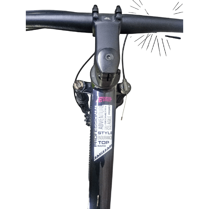 Bicicleta GW Jaguar Negra Roca y Violeta