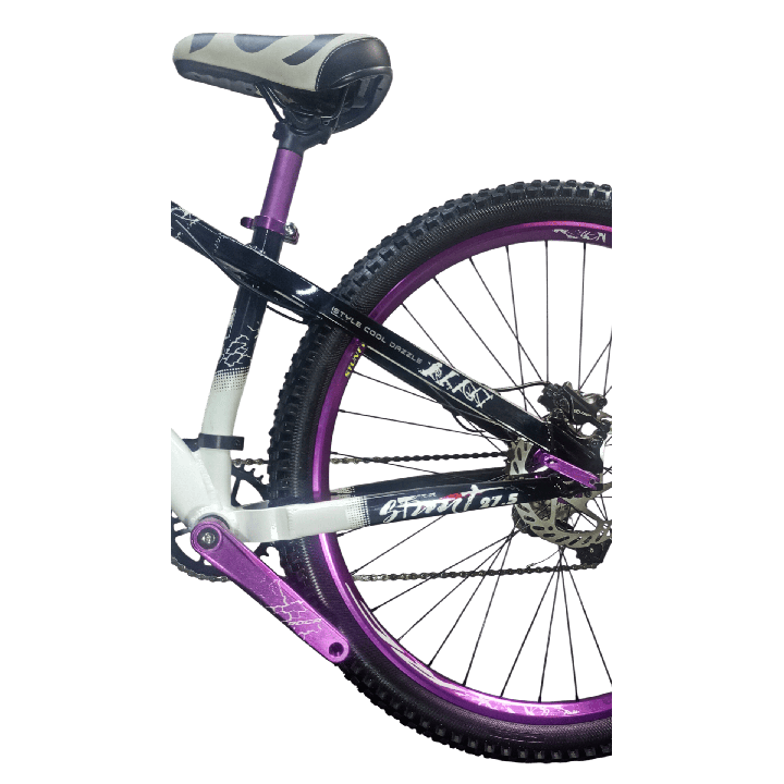 Bicicleta Roca Bicycle Stunt