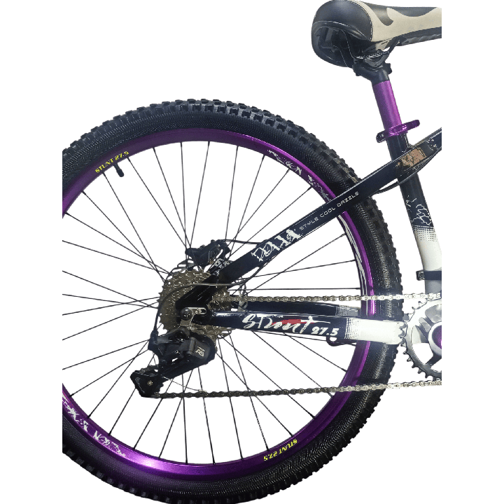 Bicicleta Roca Bicycle Stunt