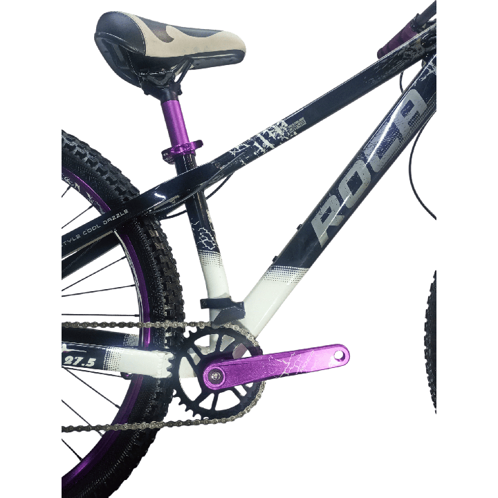 Bicicleta Roca Bicycle Stunt