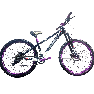 Bicicleta Roca Bicycle Stunt