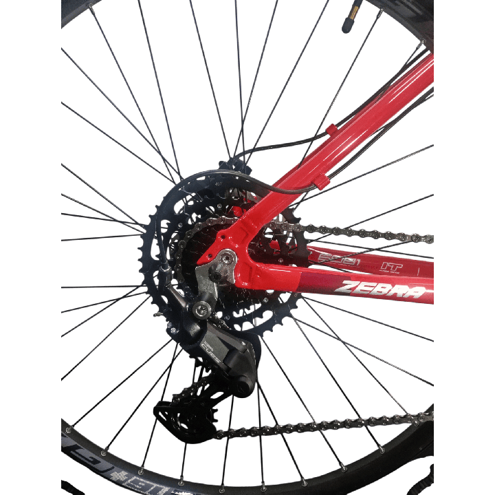 Bicicleta GW Zebra - Roja Rey