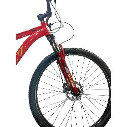 Bicicleta GW Zebra - Roja Rey