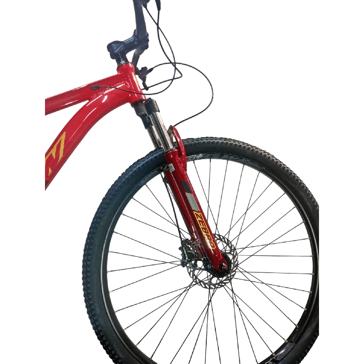 Bicicleta GW Zebra - Roja Rey