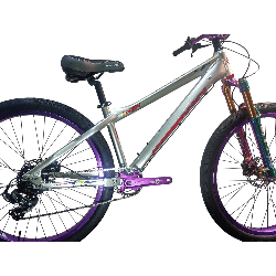 Bicicleta GW Raven Stunt
