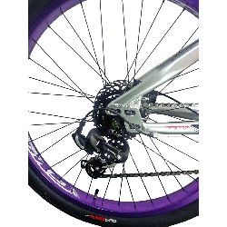 Bicicleta GW Raven Stunt