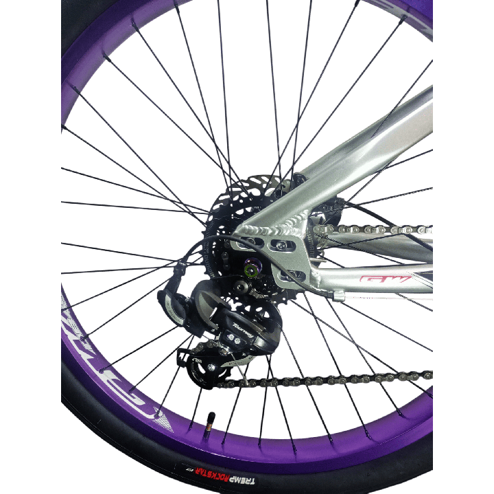 Bicicleta GW Raven Stunt
